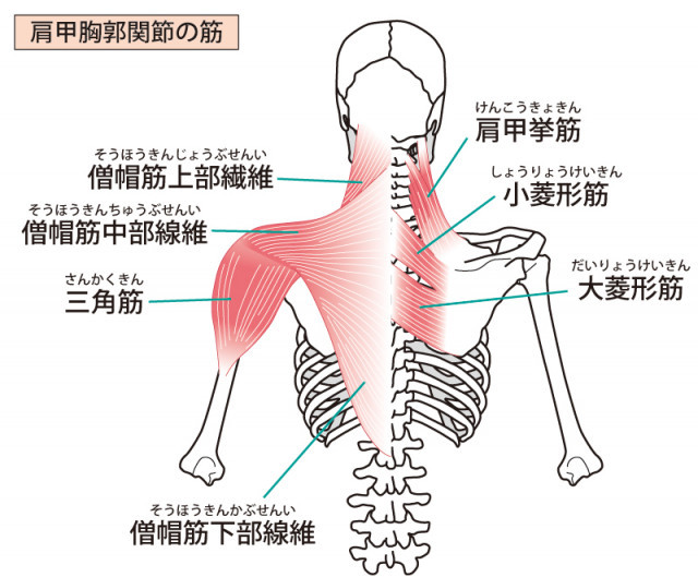 テニス肘への当院でのアプローチは?